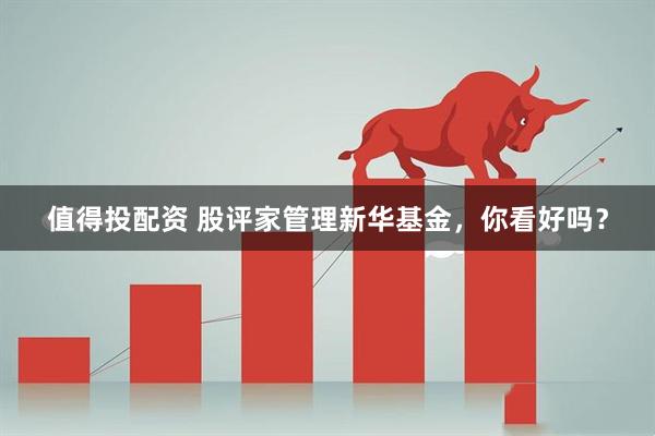 值得投配资 股评家管理新华基金，你看好吗？